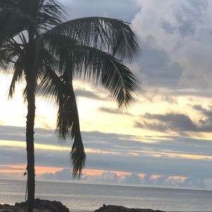 Meet your Posher, Cheyenne